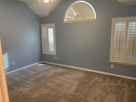 5913 Hidden Pine Lane - Photo 6