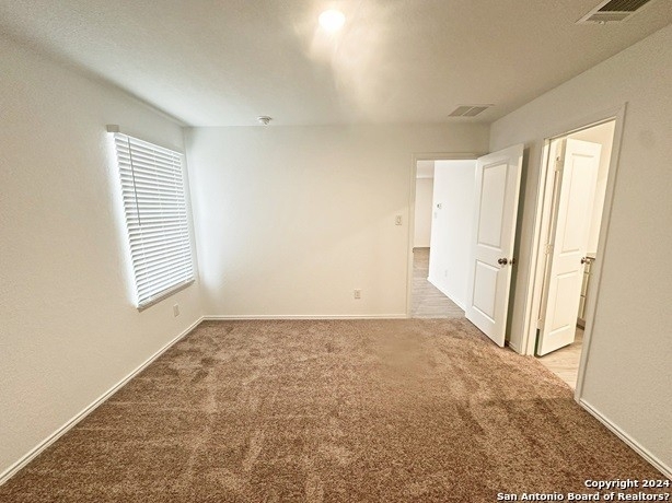 9117 Honey Mesquite - Photo 12