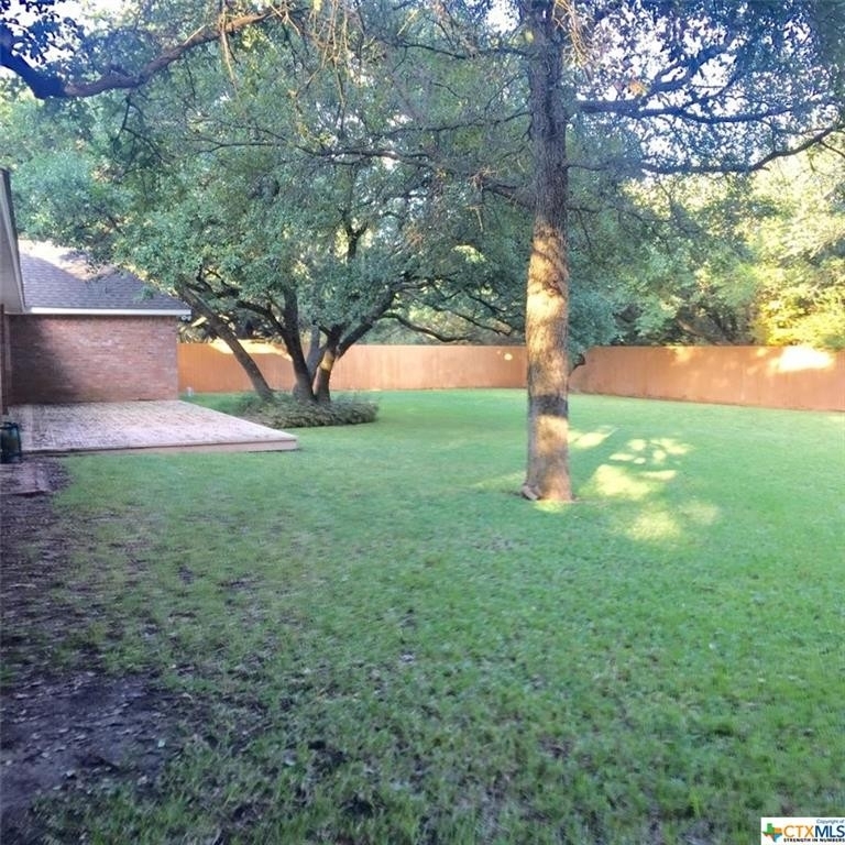 923 Salado Oaks Drive - Photo 14