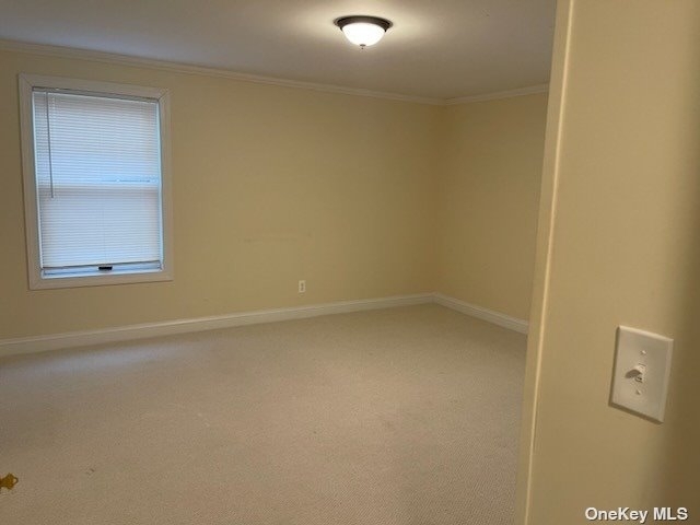 289 Rider Avenue - Photo 12