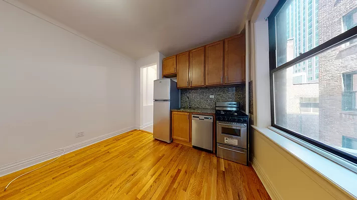 245 West 51st Street - Photo 2