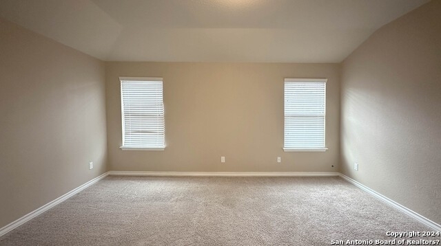 12046 Sapphire River - Photo 14