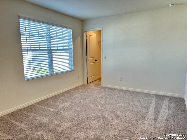 7714 Fern Hollow - Photo 18