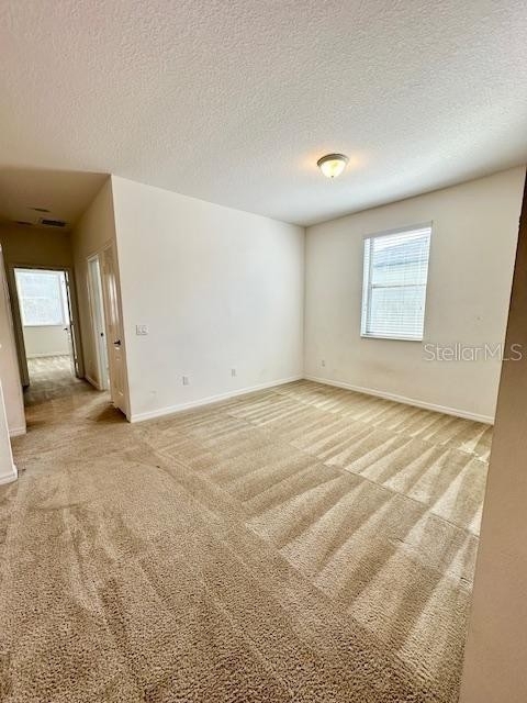 2825 Econ Landing Boulevard - Photo 13