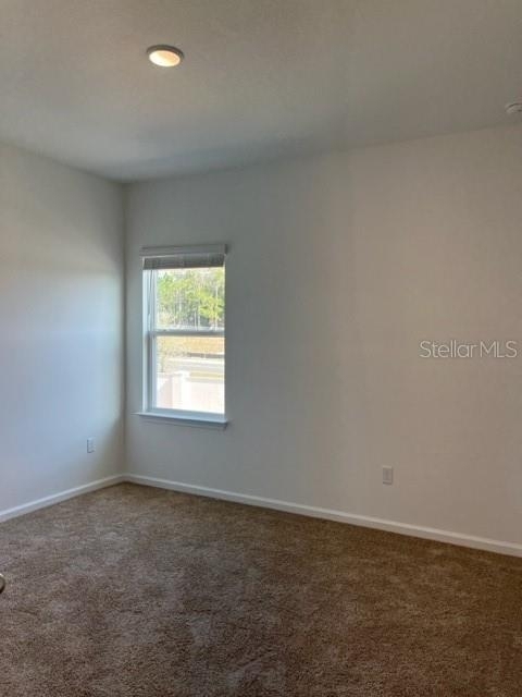 4502 Davos Drive - Photo 13