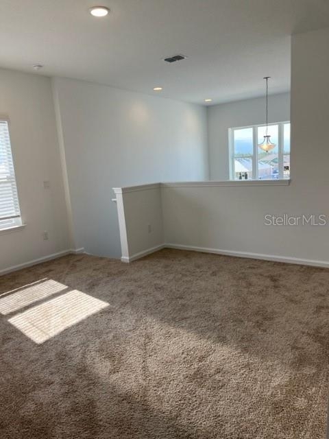 4502 Davos Drive - Photo 10