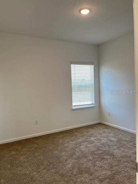 4502 Davos Drive - Photo 11