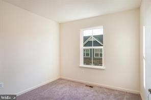 4410 Charles Vaughan Ct - Photo 8