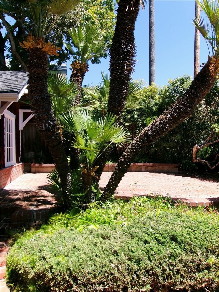 246 Cajon Street - Photo 3