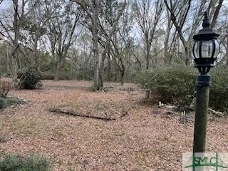 1379 Low Ground Rd Road - Photo 3