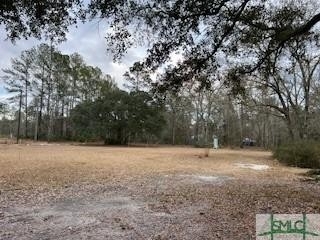 1379 Low Ground Rd Road - Photo 1