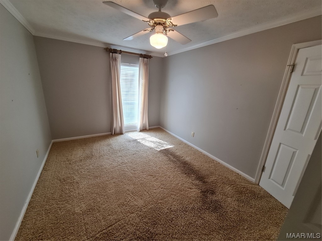 6604 English Oak Court - Photo 21