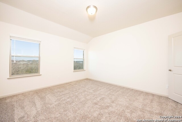 13502 Tulipwood Nook - Photo 10