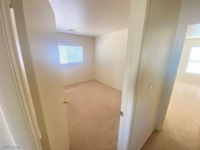 11225 Sandrone Avenue - Photo 15