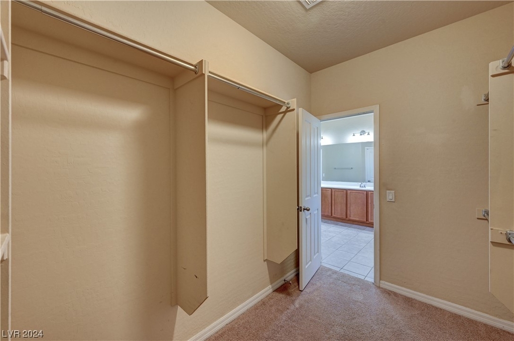 10676 Agate Knoll Lane - Photo 30