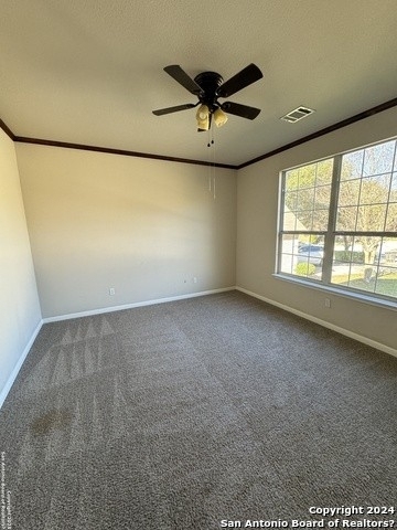 8206 Creekrun Path - Photo 22