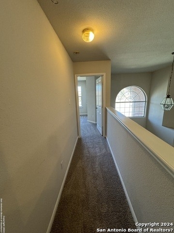 8206 Creekrun Path - Photo 30