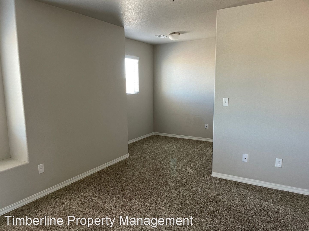 8781 Dry Needle Place - Photo 14