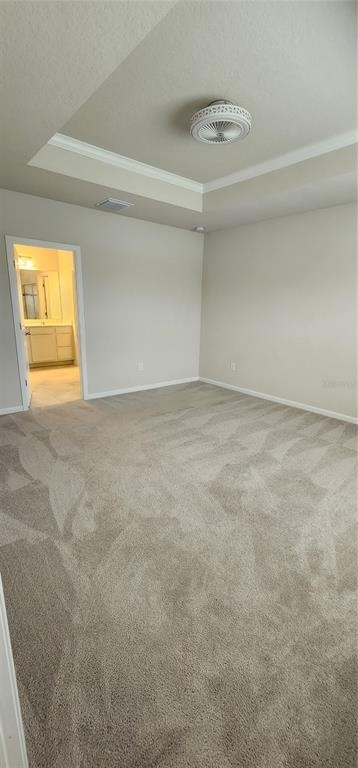 10203 Agave Court - Photo 25