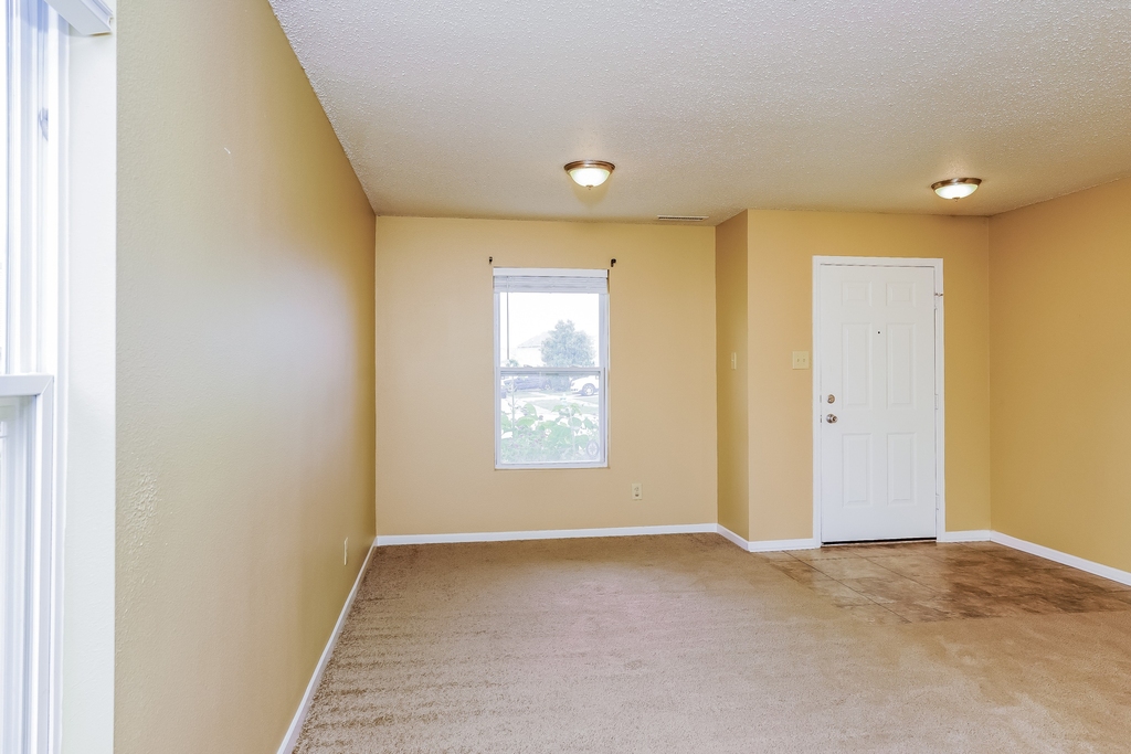 3052 Danube Way - Photo 2