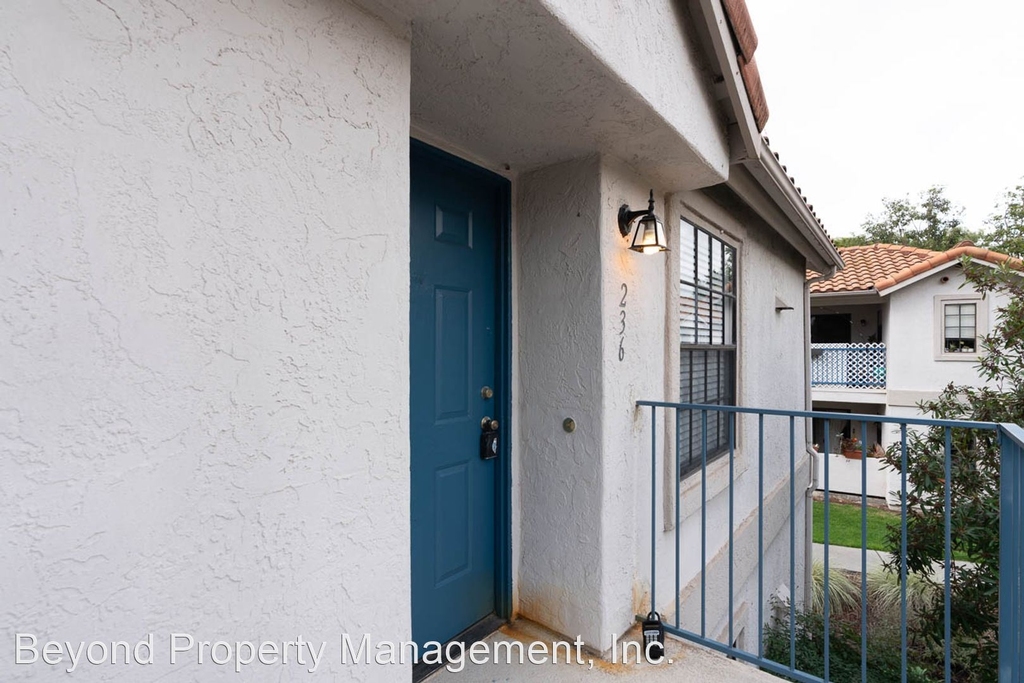 10333 Azuaga St. #236 - Photo 2