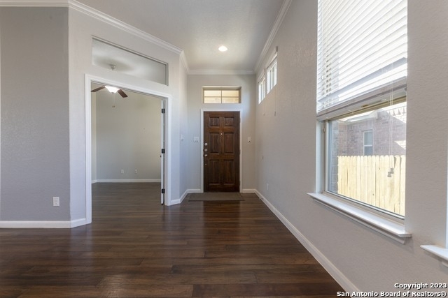 11915 Bailey Hills - Photo 10