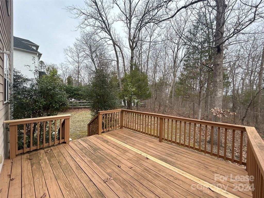 11638 Morgan Horse Trail - Photo 3