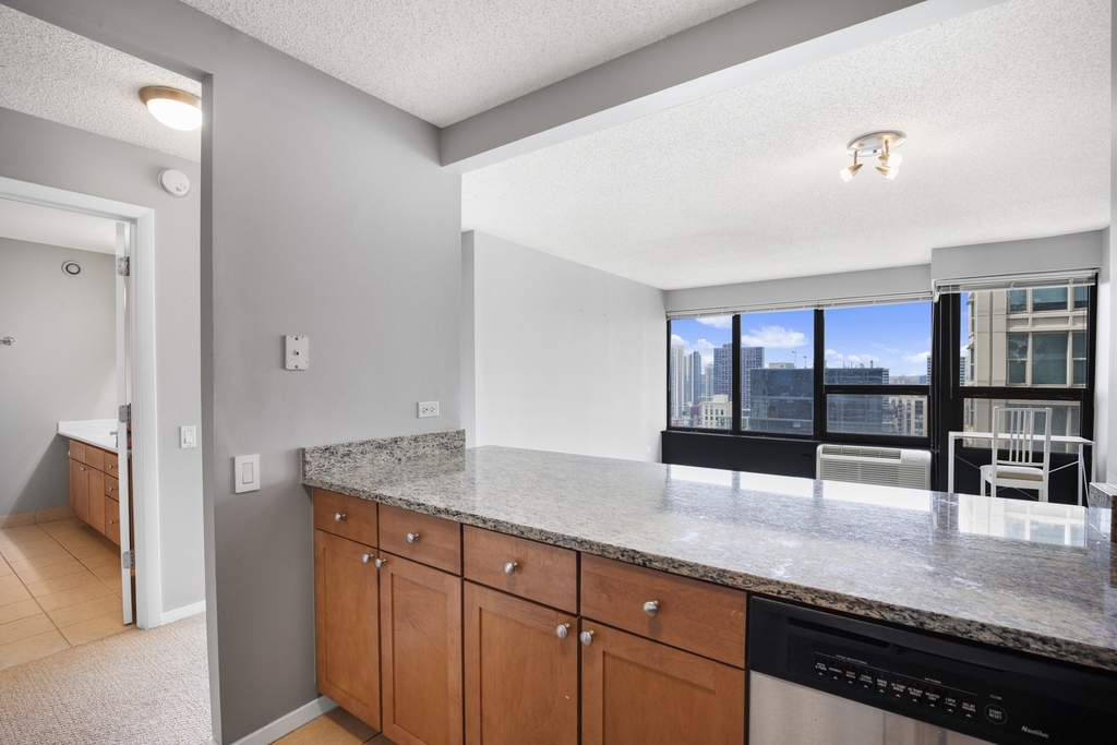 30 E Huron Street - Photo 4