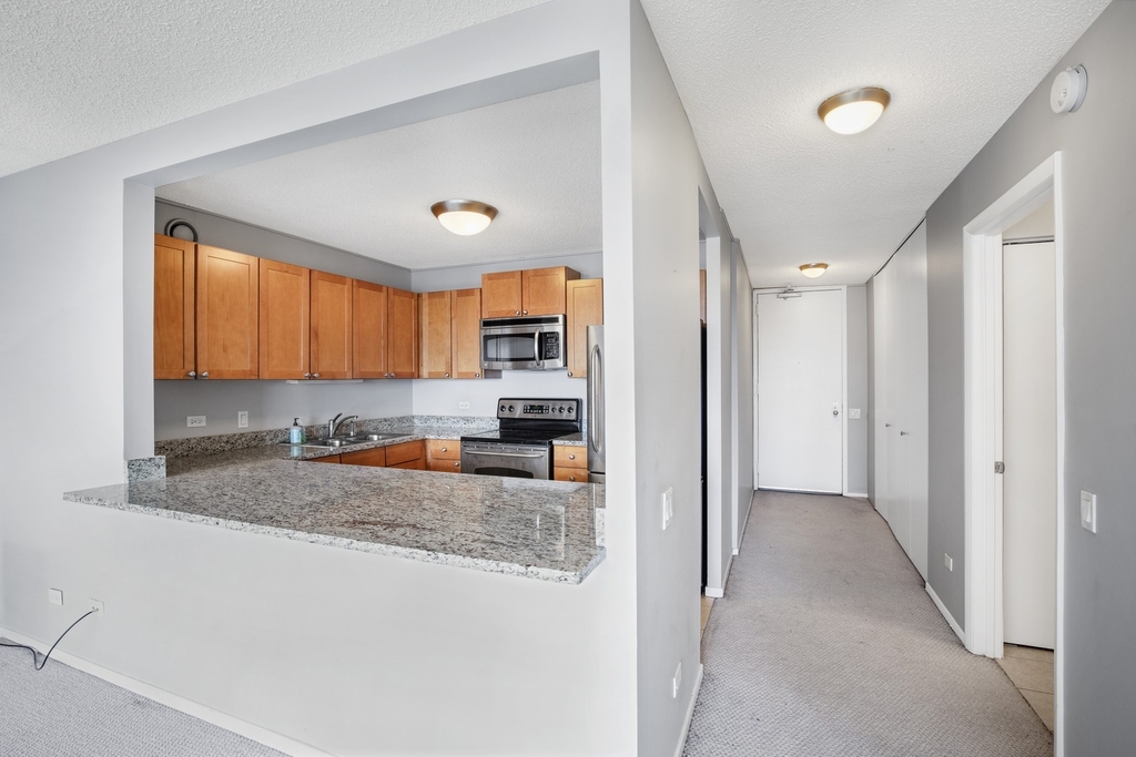 30 E Huron Street - Photo 2