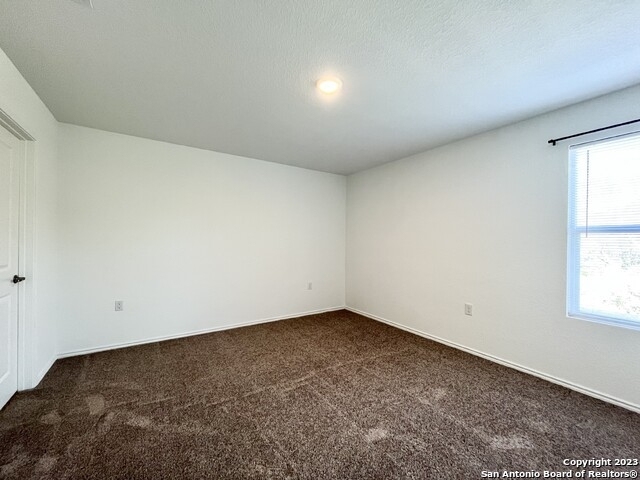 1339 Art Wall Way - Photo 9