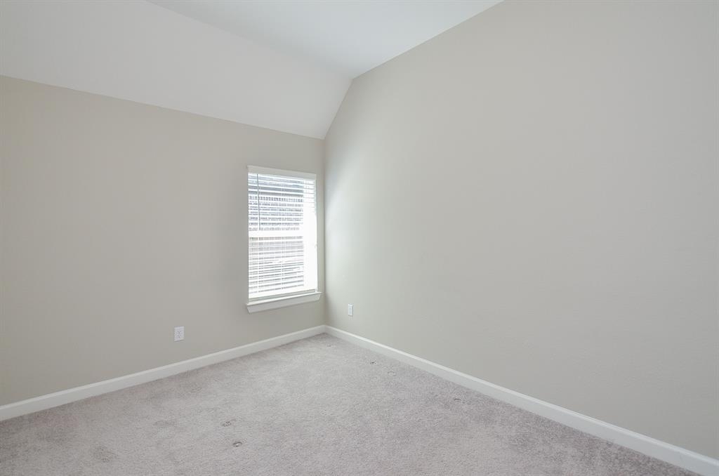 1322 Malea Daisy Lane - Photo 22