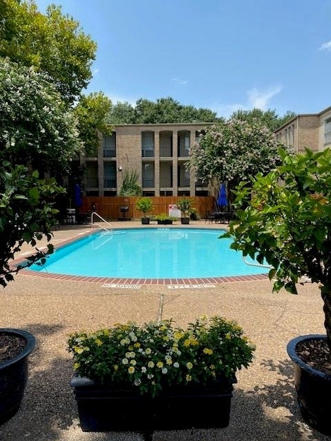 4627 Wild Indigo Street - Photo 13