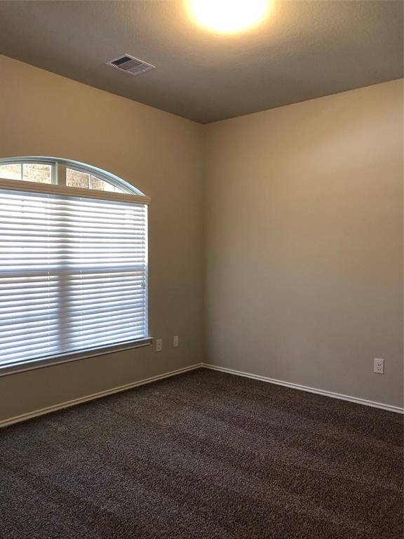 13958 Nicolet Arbor Lane - Photo 14