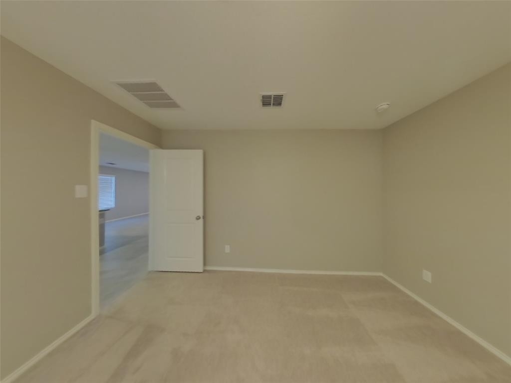 3313 Turkey Trot Court - Photo 4