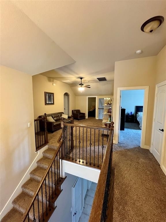 10605 Lariat Trail Drive - Photo 15