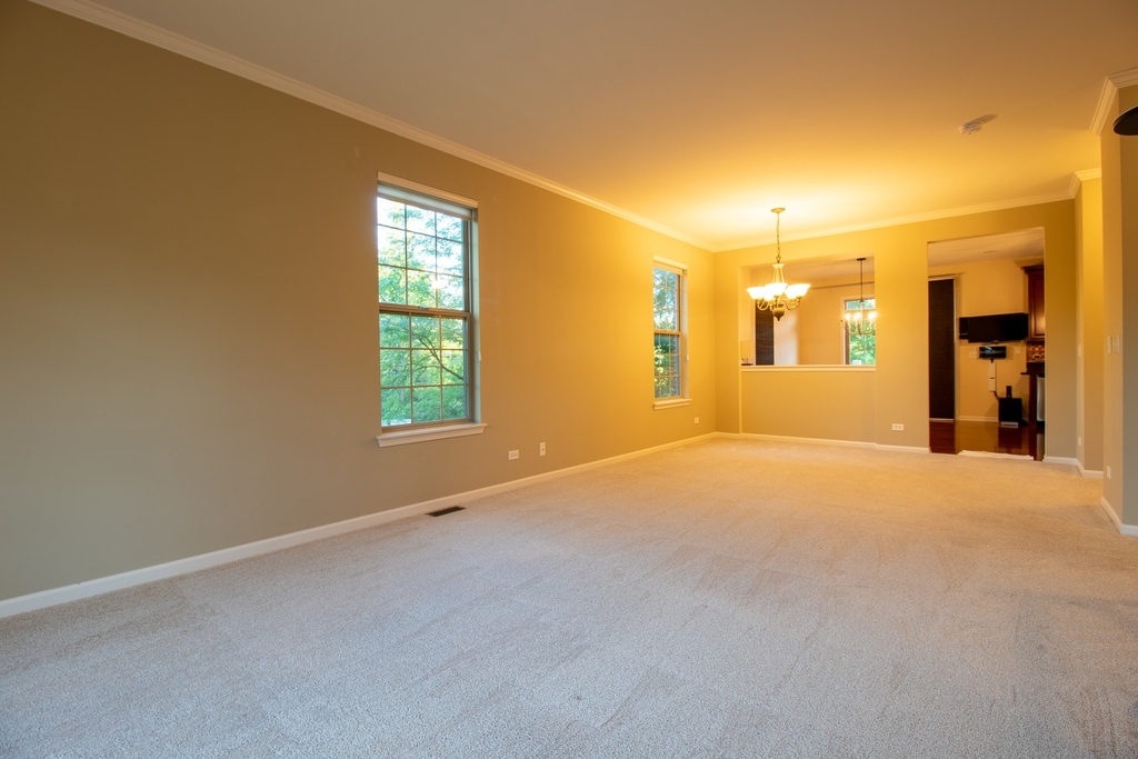 27w708 N Meadowview Drive - Photo 4