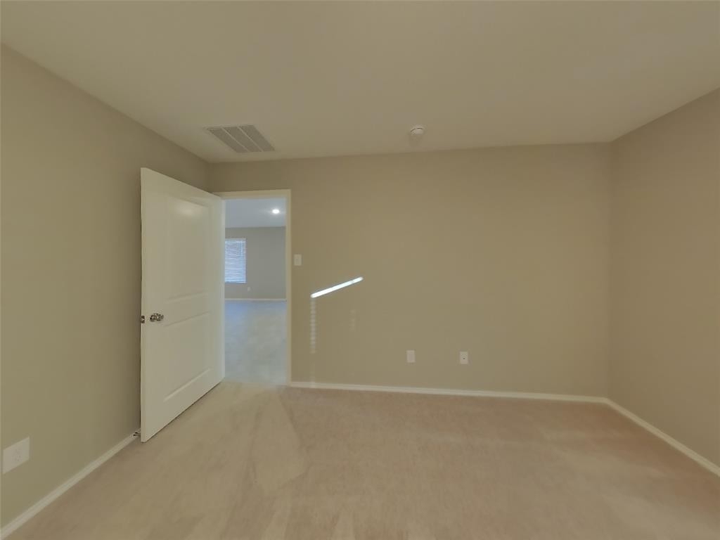 3309 Turkey Trot Court - Photo 5