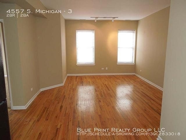 4557 S Michigan Avenue - Photo 3