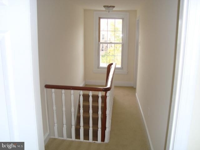 113 Ripka St - Photo 19