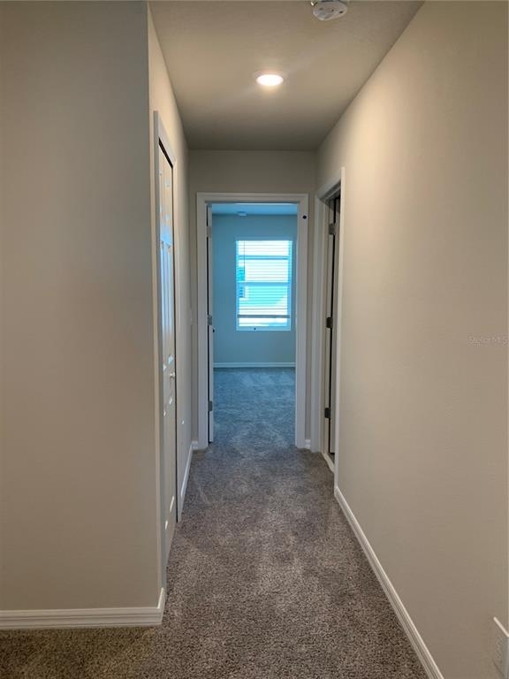 2565 Red Spruce Way - Photo 11