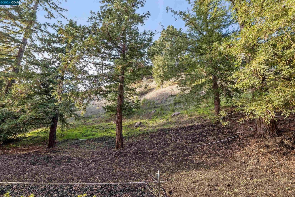 4104 El Nido Ranch Rd - Photo 34