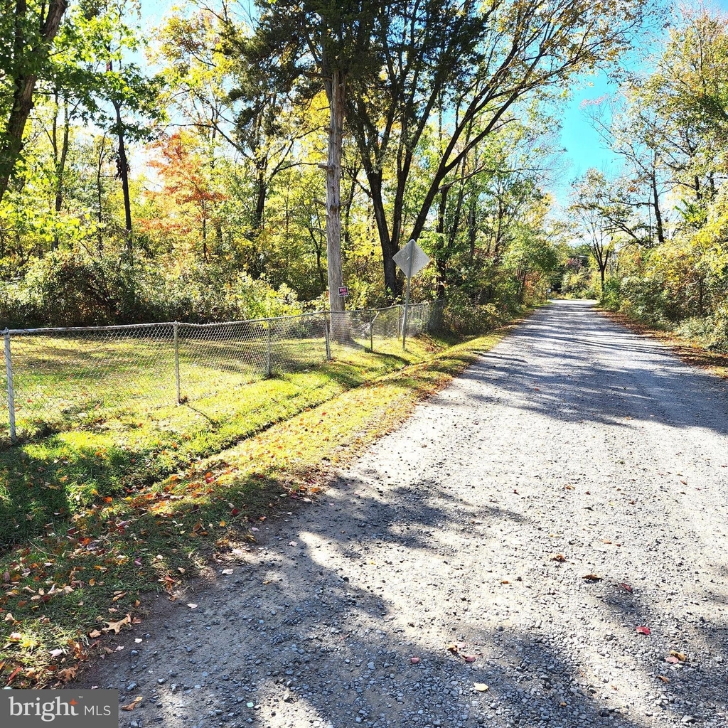 7297 Jacksonville Avenue - Photo 9