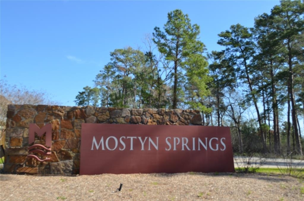 40473 Mostyn Lakes Dr - Photo 1