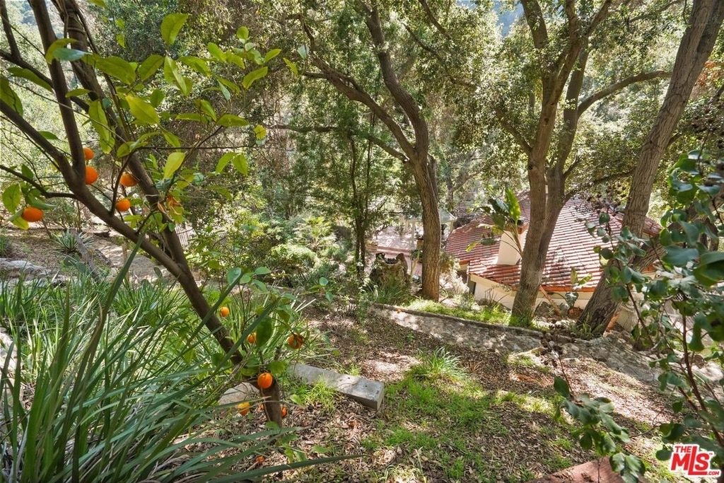 964 Old Topanga Canyon Rd - Photo 42