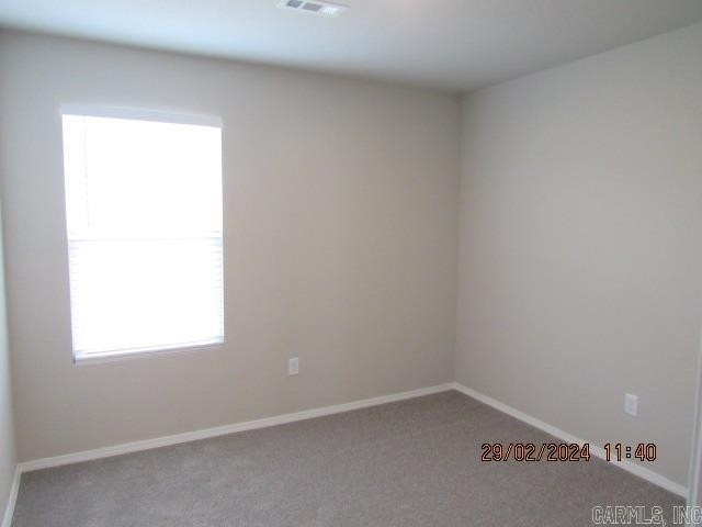 33 Curly Leaf Lane - Photo 13