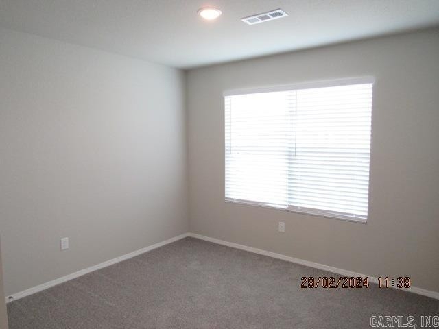 33 Curly Leaf Lane - Photo 10