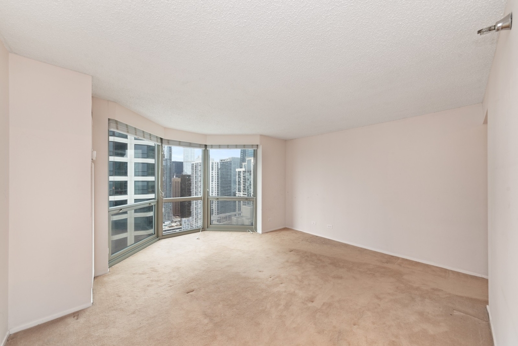 195 N Harbor Drive - Photo 11