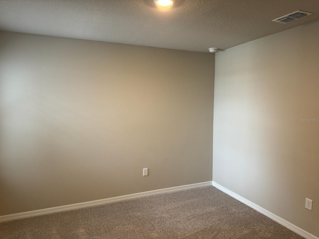 32437 Limitless Place - Photo 11