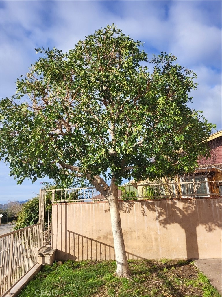 157 Ventura Street - Photo 15