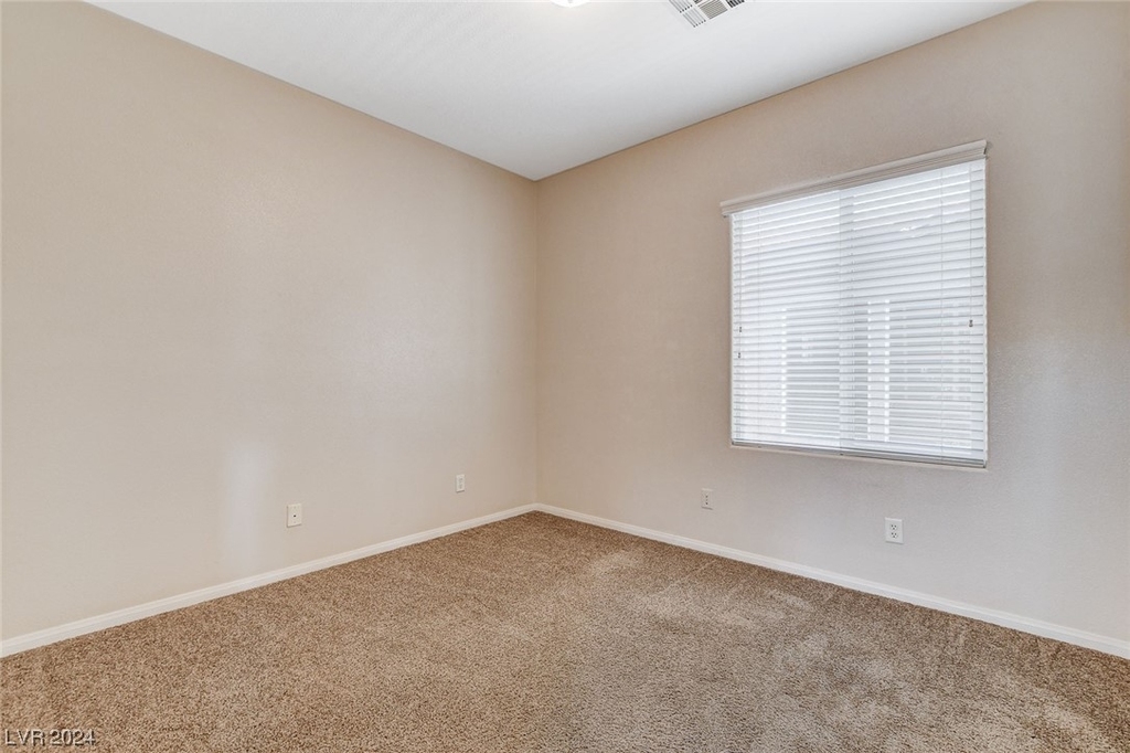 10486 Howling Coyote Avenue - Photo 22